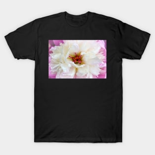 Pearly Peony T-Shirt